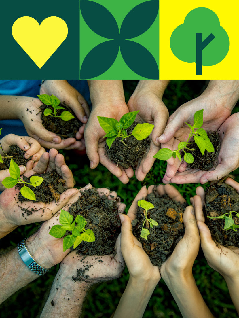 Membangun Kebiasaan Tertata untuk Suasana yang Lebih Harmonis